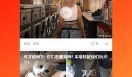 久久短视频在线观看