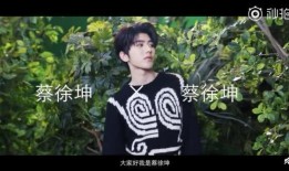 先生爆料蔡徐坤视频,揭秘背后真相与争议