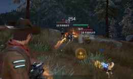 流浪者武器爆料视频,神秘爆料视频曝光惊人细节